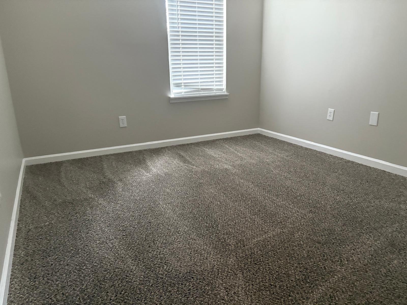Carpet & Upholstery Cleaning